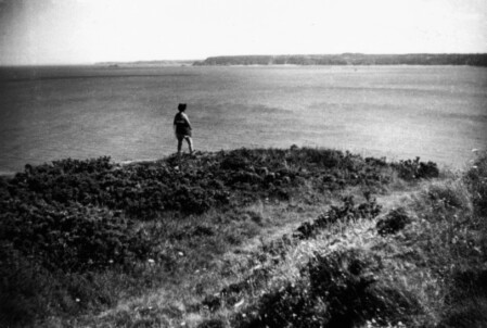 Vue du panorama en 1953